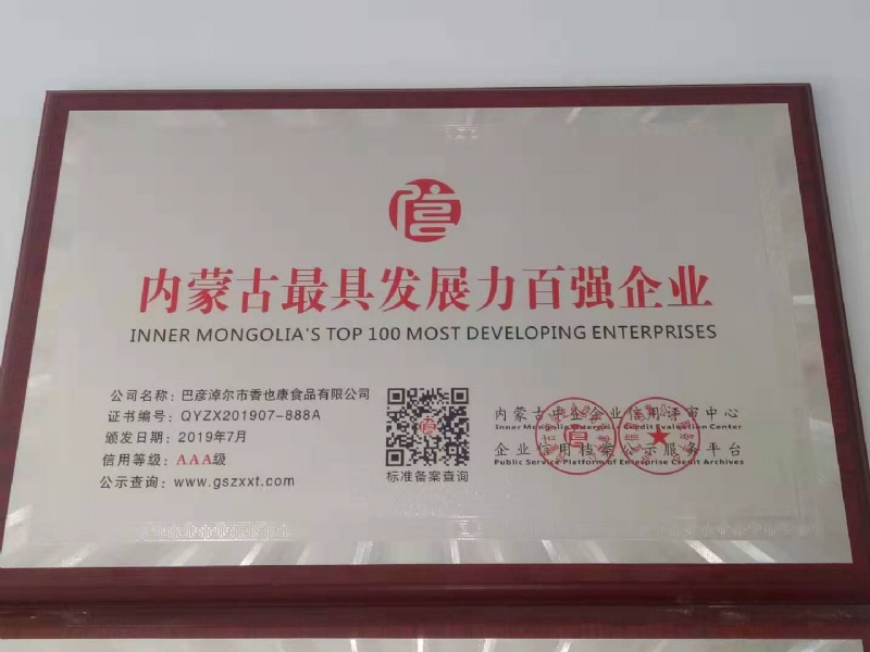 內蒙古較具發(fā)展力百強企業(yè)